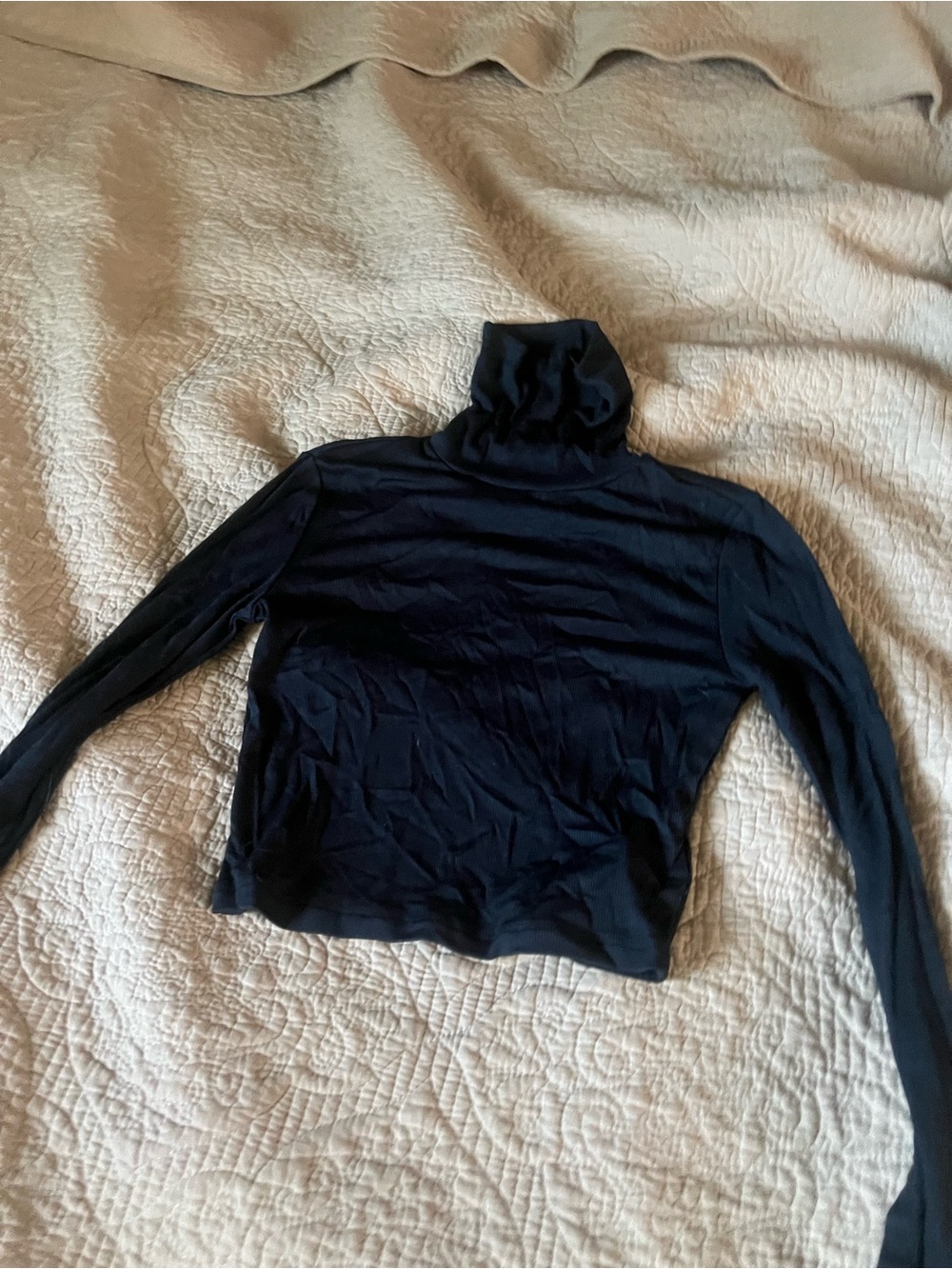 Sunday Best Black Long-Sleeve Crop Turtleneck Top 2XS